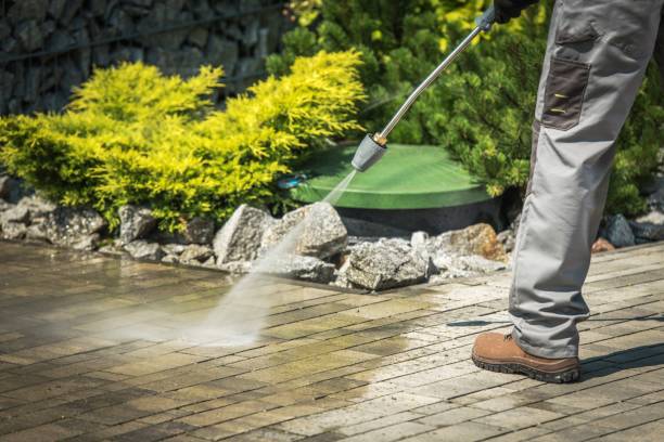 Animal Enclosure Cleaning in East Milton, FL